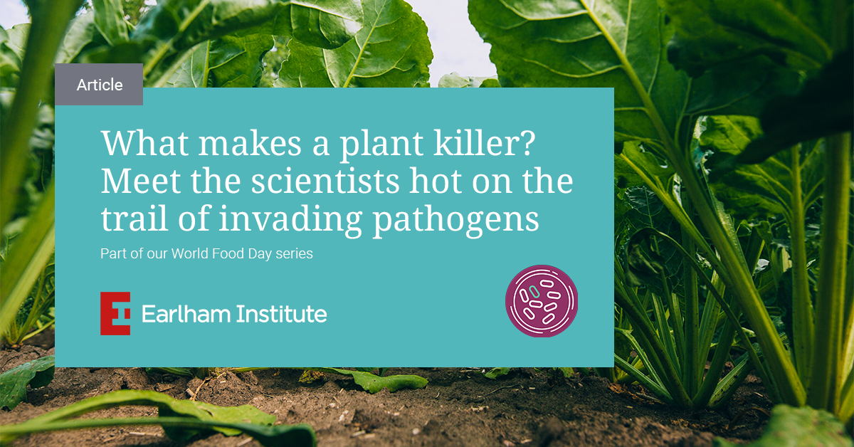 What makes a plant killer? Meet the scientists hot on the trail of